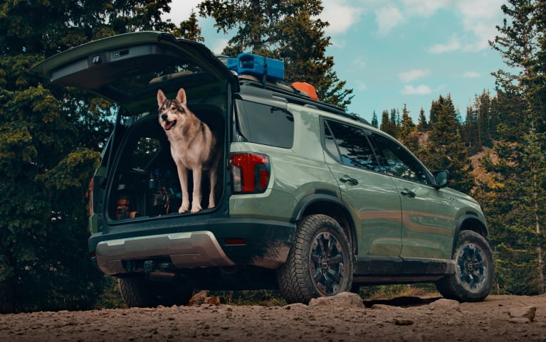 2026 Honda Passport TrailSport Elite in Ash Green Metallic profile with a dog in the open trunk (Mid-Size SUV).